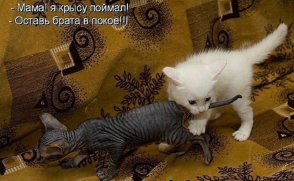 №99, Анастасия Кащева, 42 года, Челябинск №99, Анастасия Кащева, 42 года, Челябинск