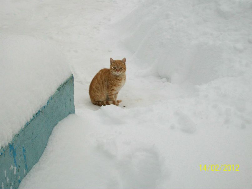 Nop Ильин | Москва