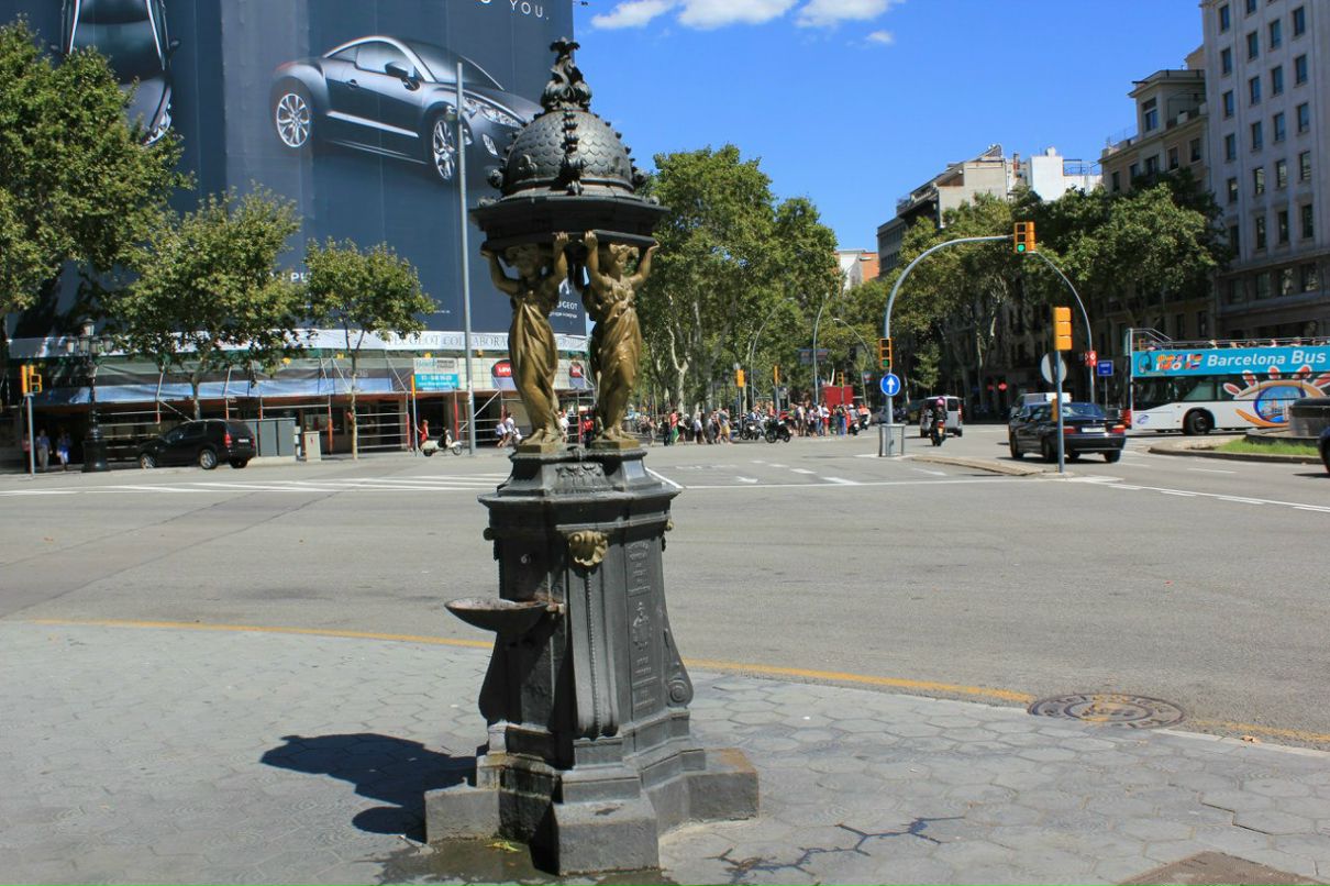 Антон Тихонов | Санкт-Петербург