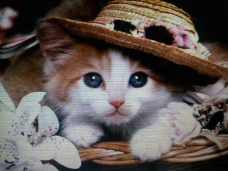 №180, Мария Казакова, Москва №180, Мария Казакова, Москва