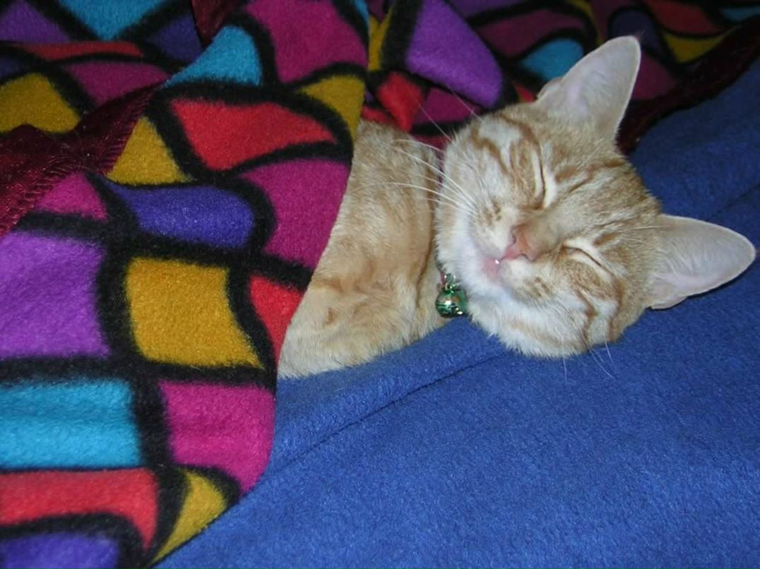 Юлия Кромская | Москва