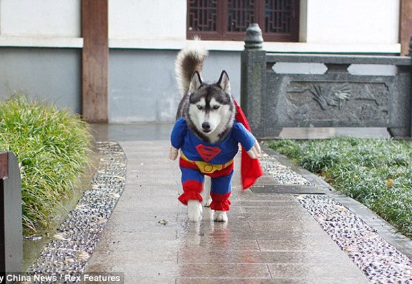 Алексей Сотников | Москва