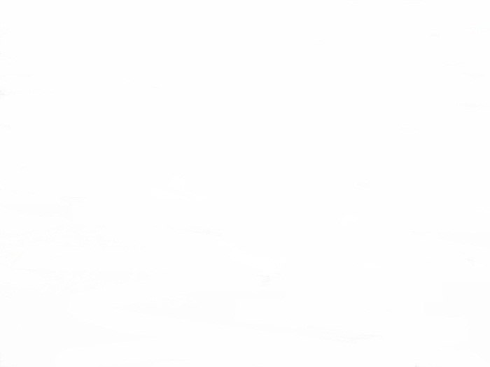 Янек Стрекоза | Košice