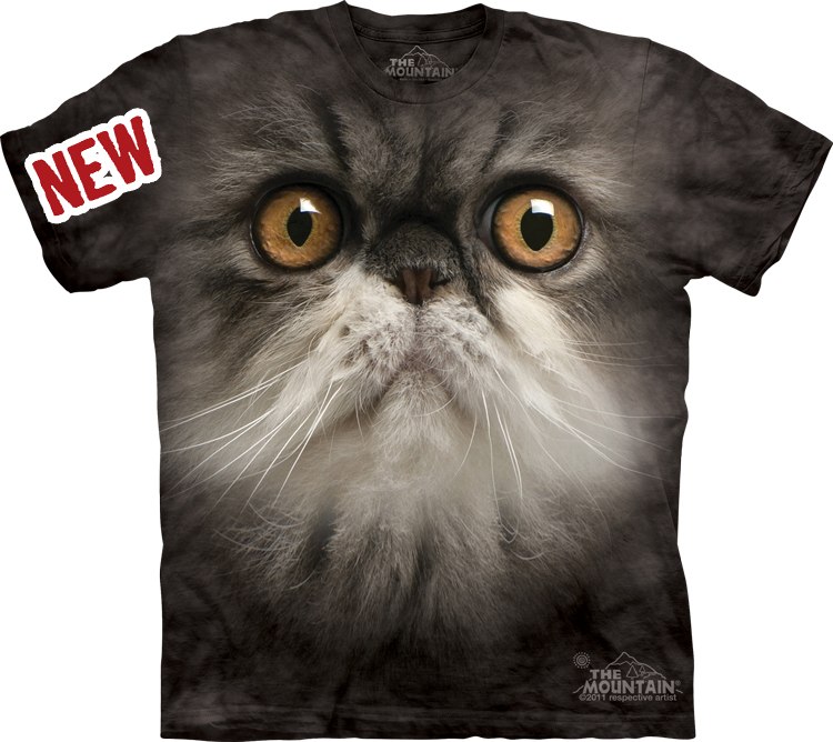 Юлианна Ялышева | Симферополь