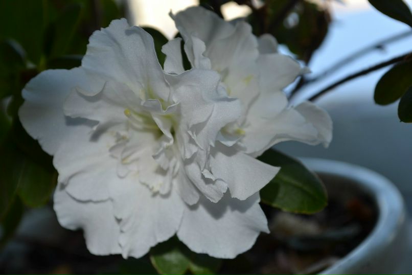 Ирина Барцева | Йошкар-Ола