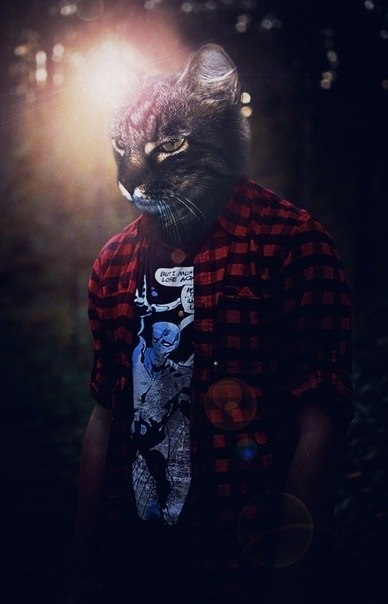 Серёга Воронцов E|W | Санкт-Петербург