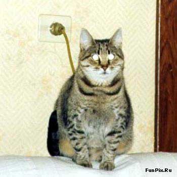 Вячеслав Быков Agronom4ik | 