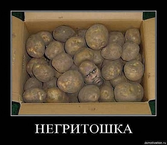 Slava Protsko & | Санкт-Петербург