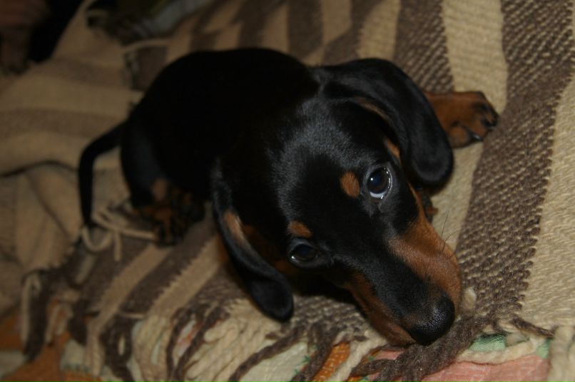 Сергей Кулишин | Москва