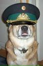 Фотография Максим Колесников
