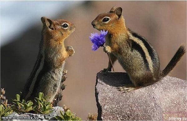 №3, Ирина Багаева №3, Ирина Багаева