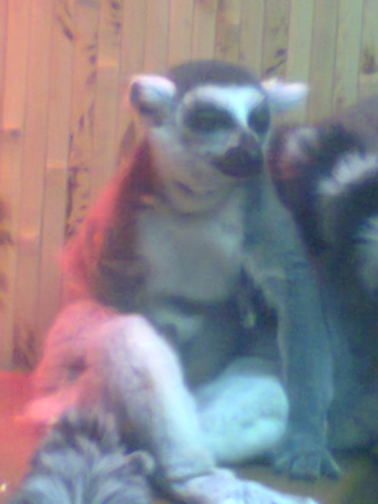 Анна Свищ ✿ܓBaRsY4kA✿ܓ | Харьков