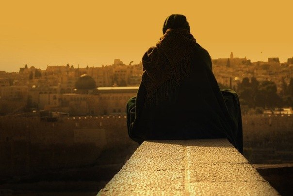 Сеймур Зейналов | Москва