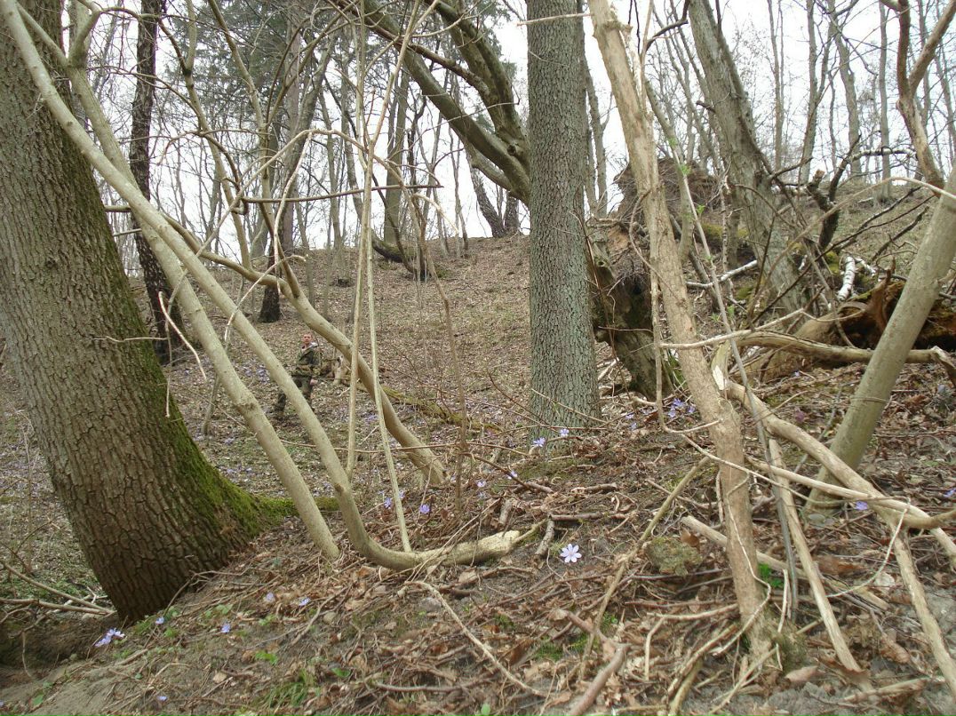 Алексей Калинкин | Калининград