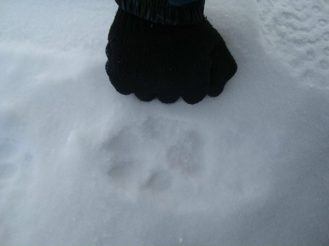 Анатолий Федоренко | Черногорск