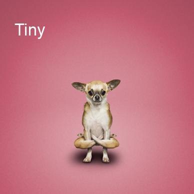 Александра Лебедева | 