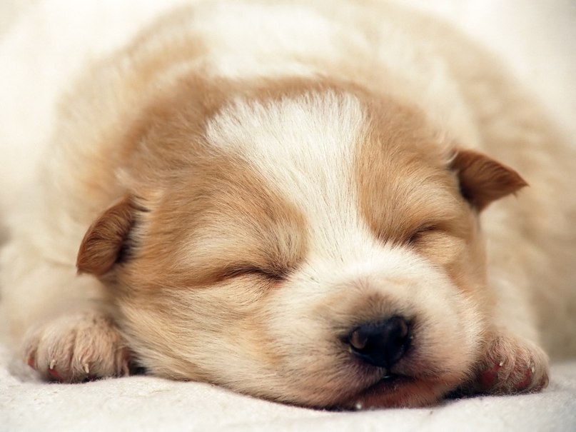 Мария Староверова | Красноярск