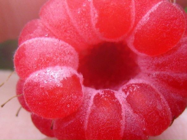 №67, Ольга Полетаева №67, Ольга Полетаева