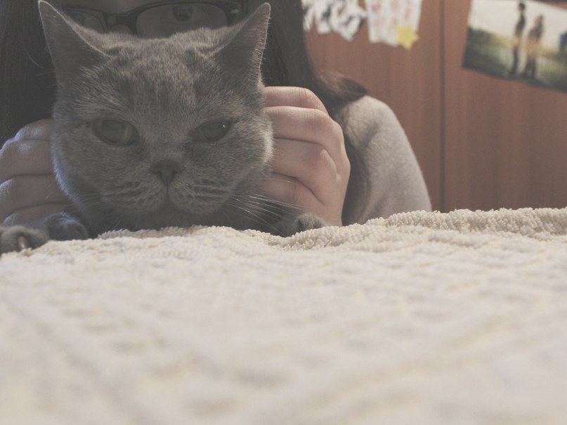 Andrej Maksimov | Москва