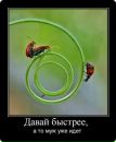 Фотография Олег Мишин