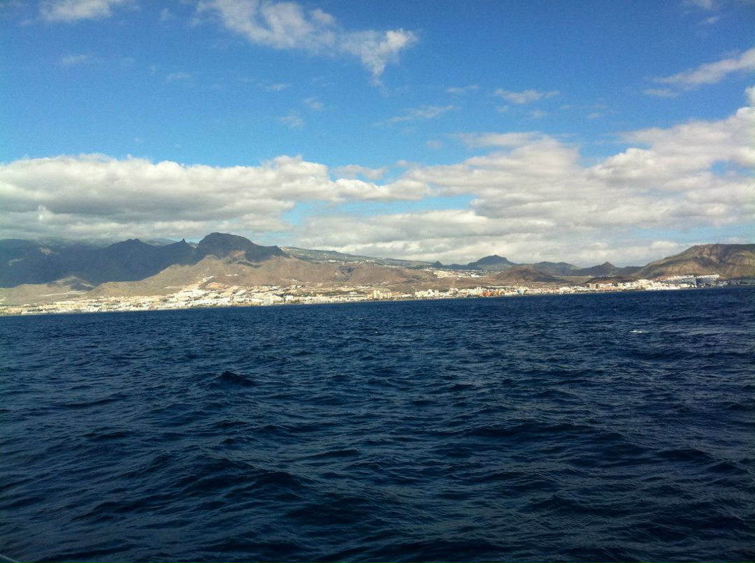 Марья Юнусова | Краснодар