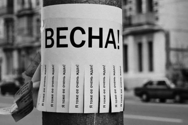 Кайфажер Гламурный | 