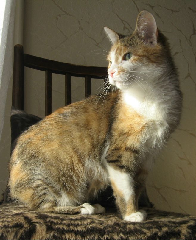 Наташа Довжик | Ровно