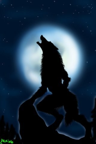 Люся Темлякова | Санкт-Петербург