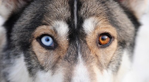 Глеб Мирошниченко | Калининград