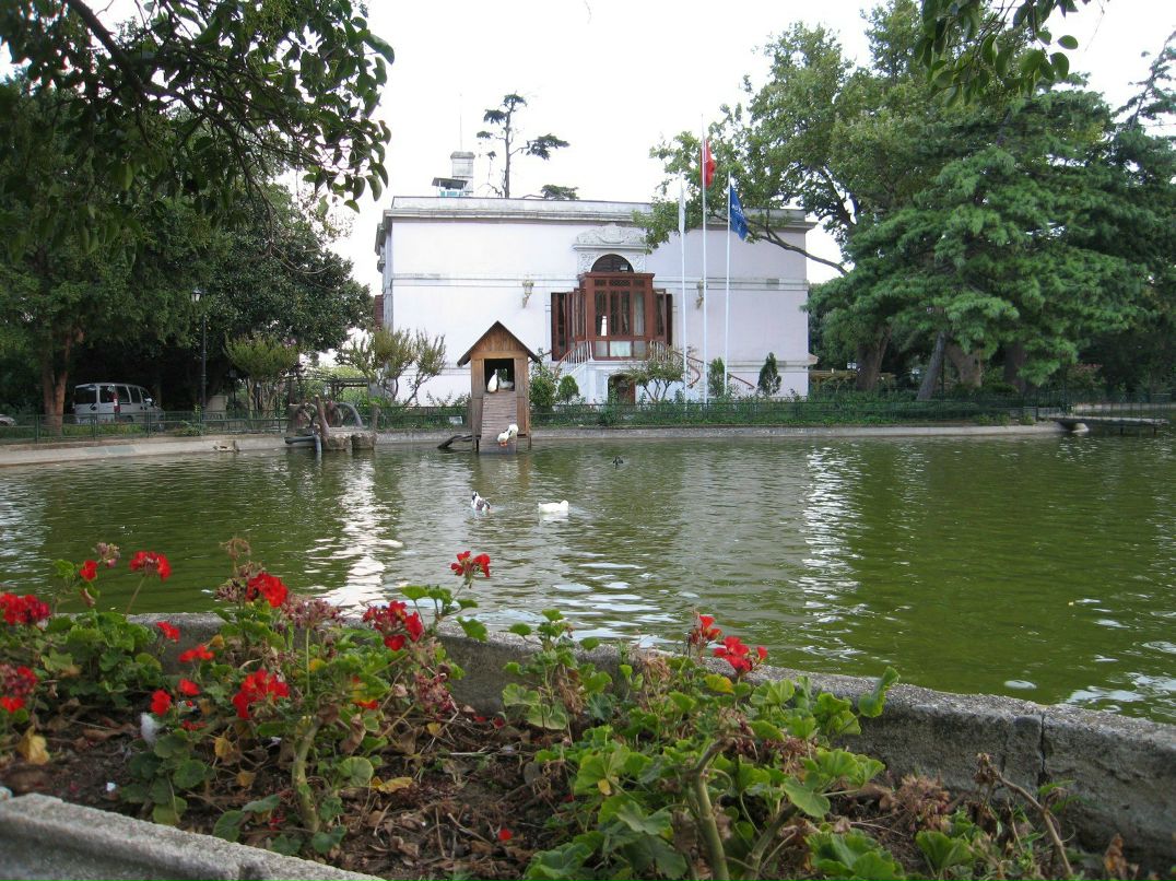 Степан Васильев | Санкт-Петербург