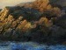 Лидия Попова фотография #12
