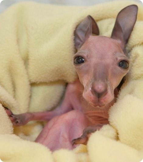 Александр Лысиков ⎷⎛ ⎷⎛ | Москва