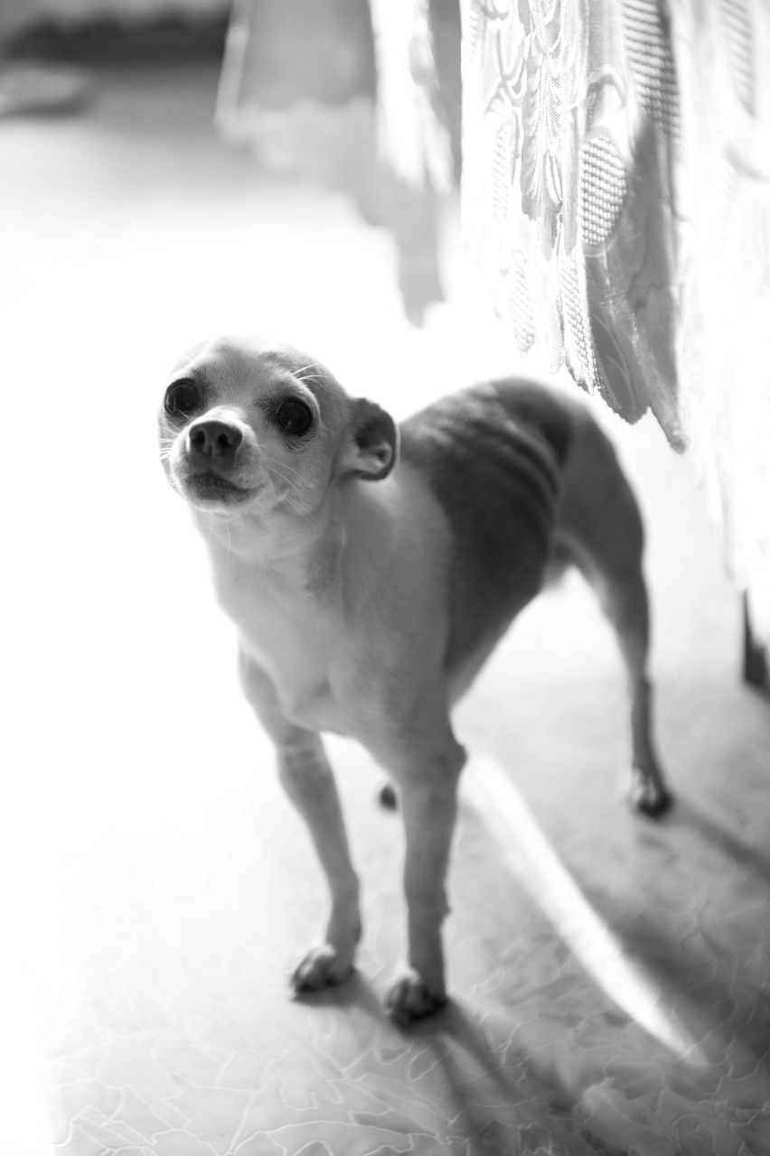 Margaret Stratilatova | Москва