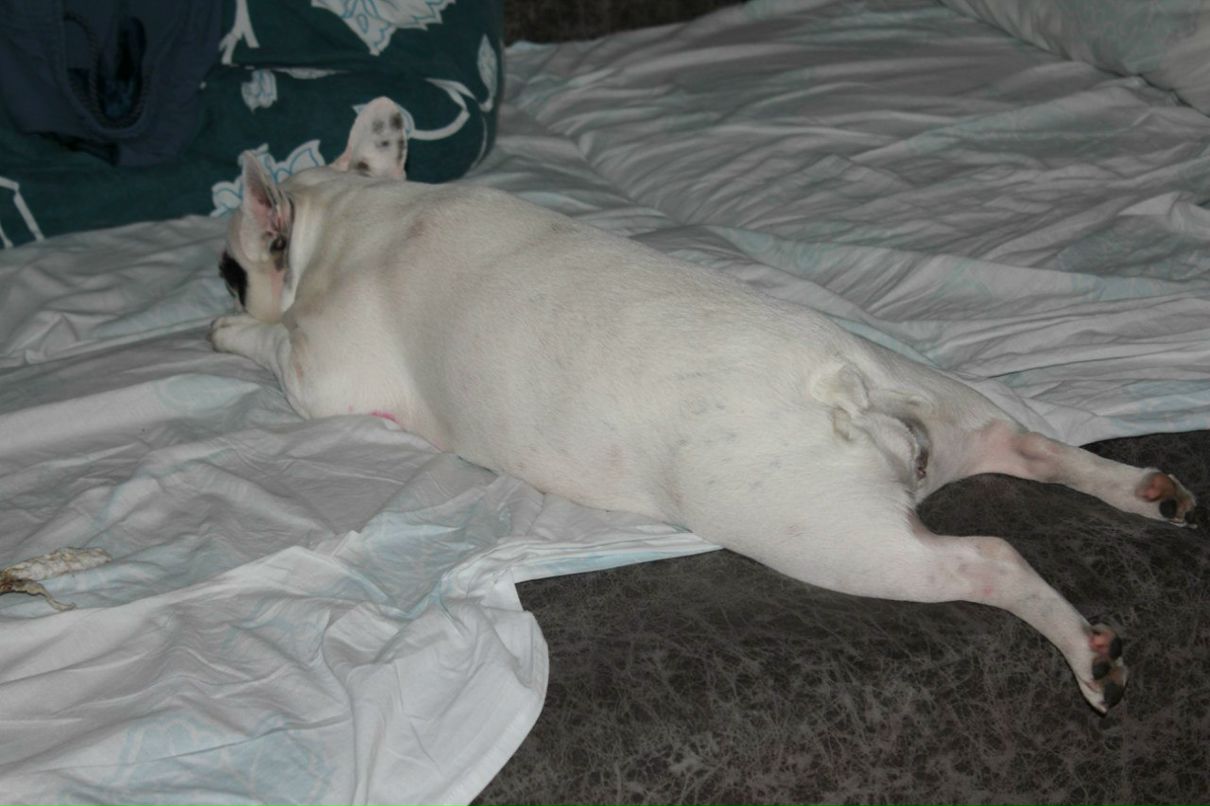 Юля Красивова | Санкт-Петербург