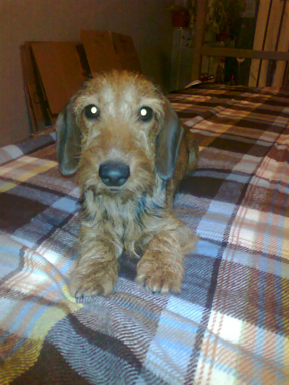 Сергей Широков | Санкт-Петербург