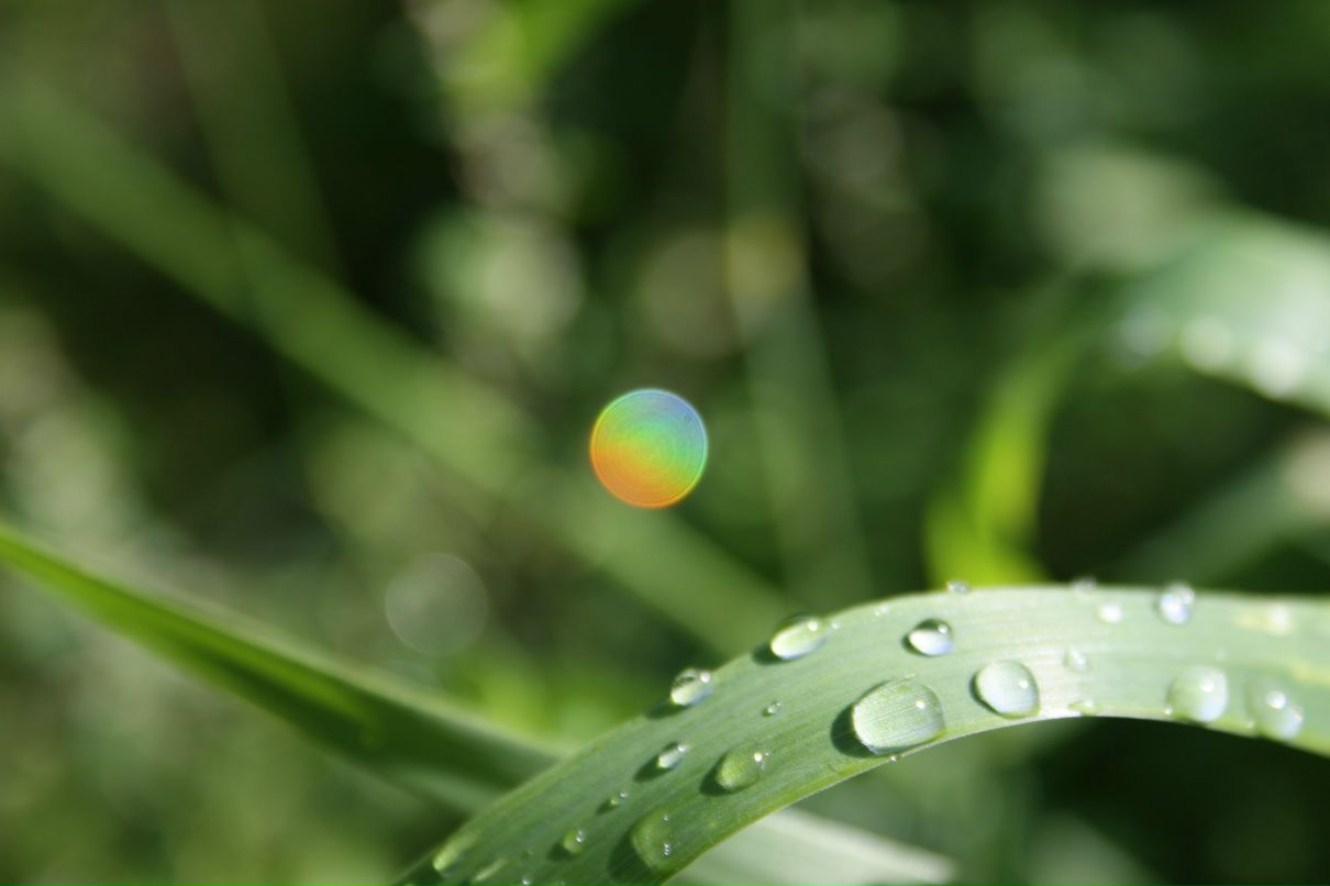 Владислав Иванов | Екатеринбург