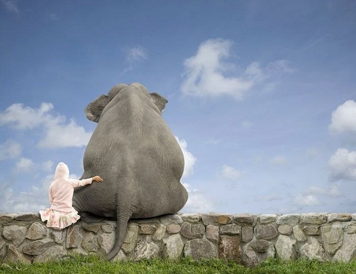 Алексей Белокопытов | Киев