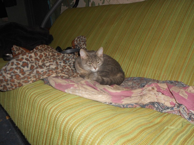 Александр Толокнов Алексеевич | Воронеж