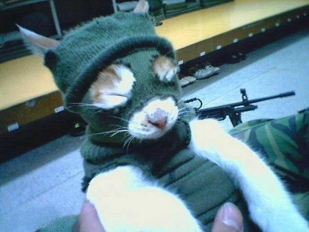 Олексійко Ткачук | Киев