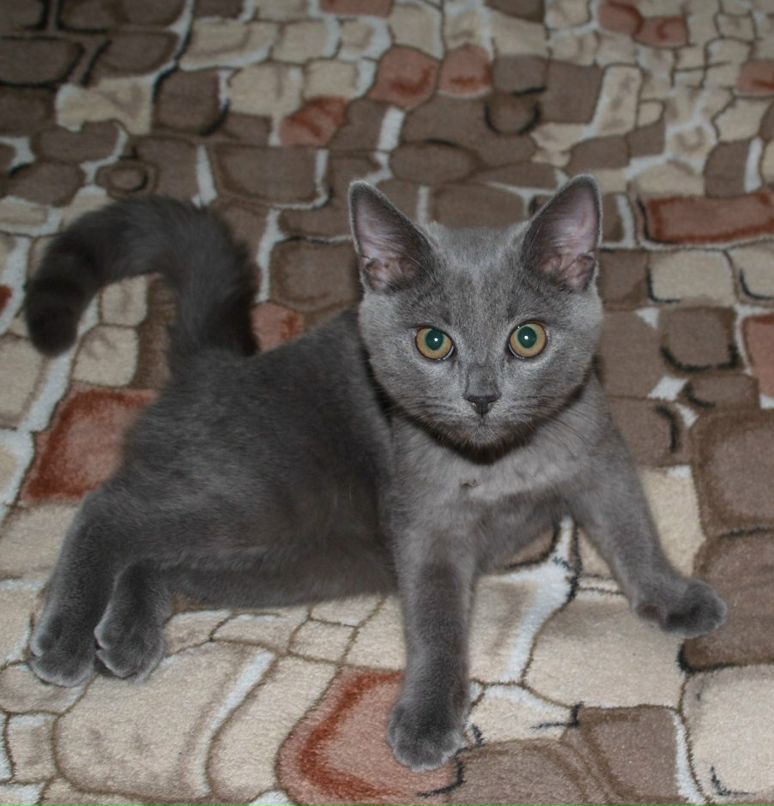 Алла Галкеева | Самара