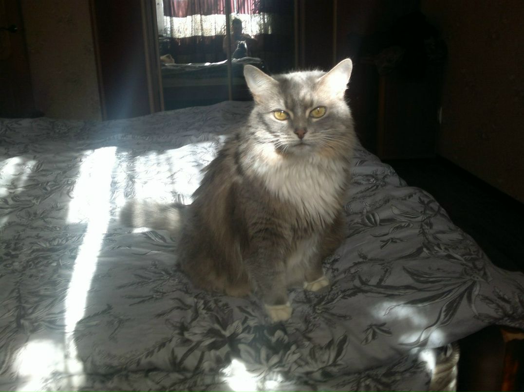 Роман Смирнов | Санкт-Петербург