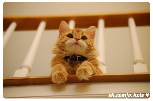 Анюта Гордеева | Москва