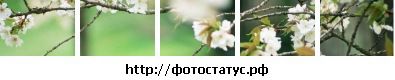 Фотография Алина Демина