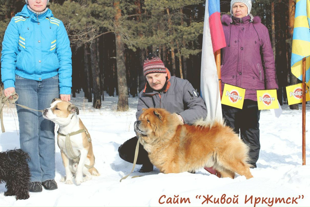 Аня Сороковикова | Ангарск