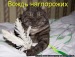 Александр Миронов фотография #46