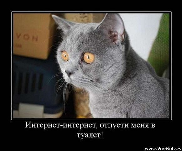 №18, Nik Tarasov, Севастополь №18, Nik Tarasov, Севастополь