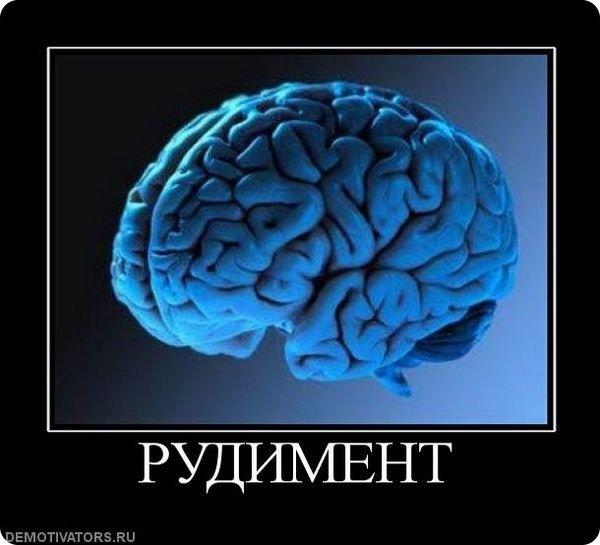 №75, Владимир Евдокимов, 42 года, Днепр (Днепропетровск) №75, Владимир Евдокимов, 42 года, Днепр (Днепропетровск)