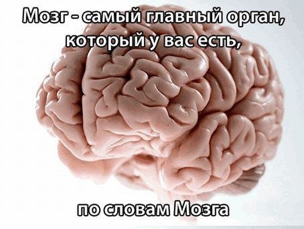 Олег Пьянков | Санкт-Петербург