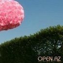 №195, Полина Долгих, 35 лет №195, Полина Долгих, 35 лет