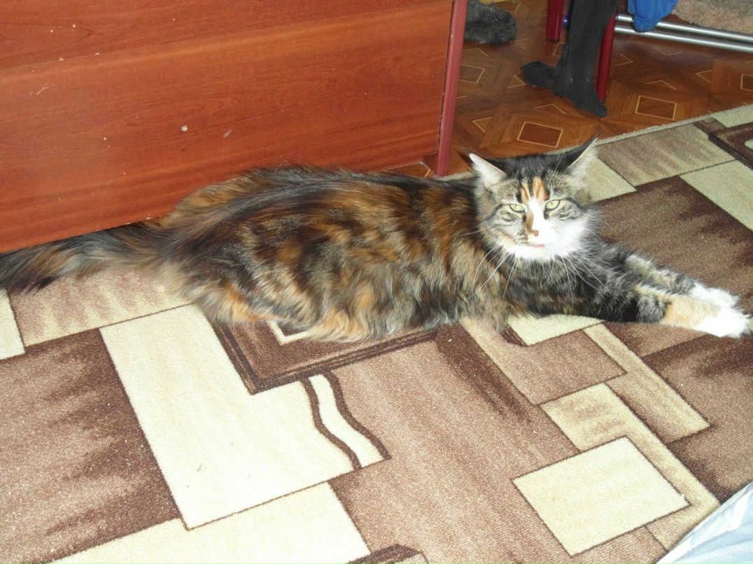 Юлия Троян | Казань